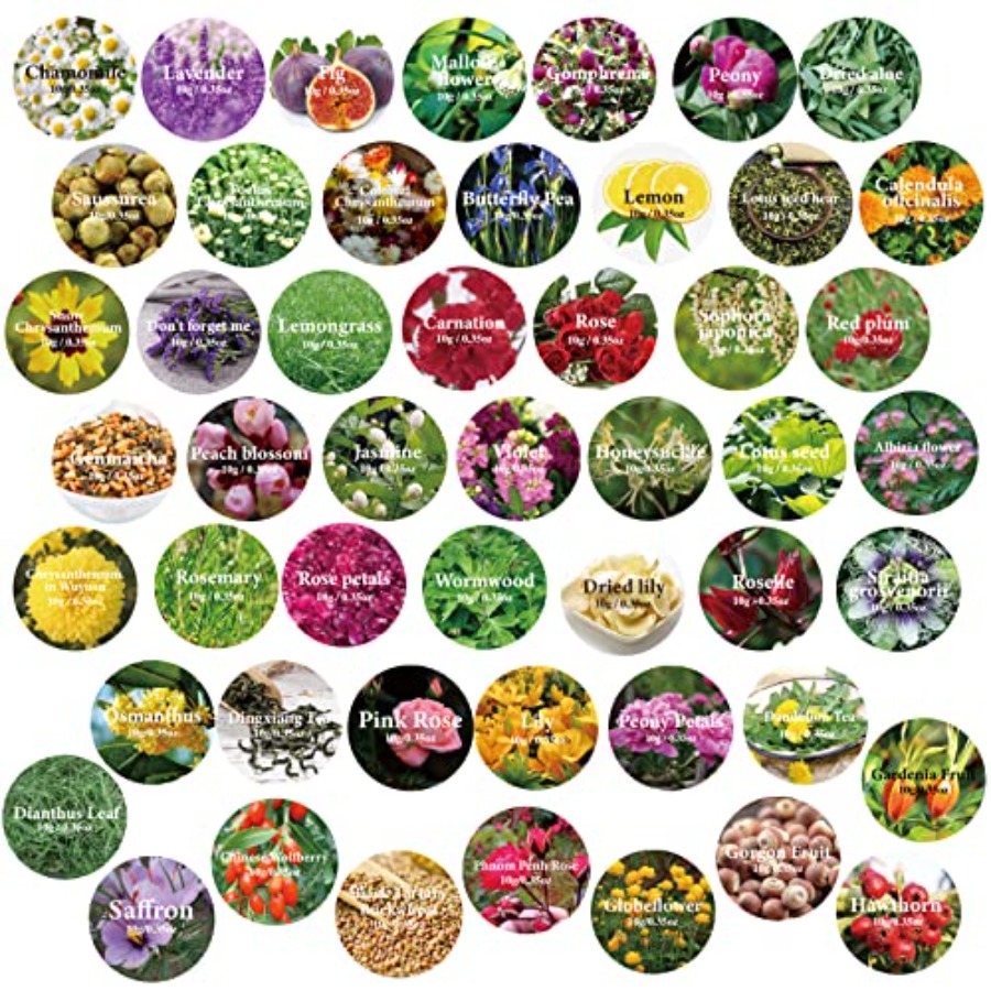 Dried Flowers, 50 Bags 100% Na - Soap Making Book For Beginners บทวิจารณ์และราคา